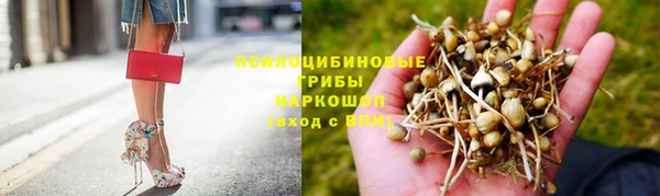 сатива Алзамай