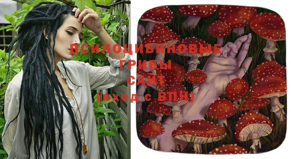 прущие крисы Абинск
