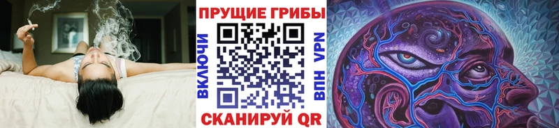 Псилоцибиновые грибы GOLDEN TEACHER  Новоалександровск 